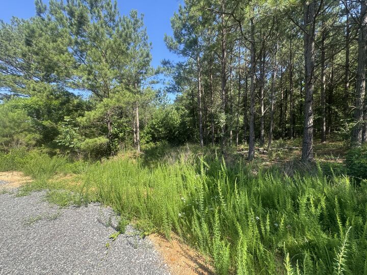Property Photo:  0 Rustic Pines Rd  TN 37058 