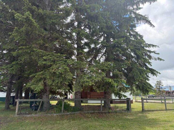 Property Photo:  5139 51 Avenue  AB T0M 0M0 