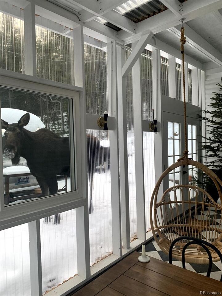 Property Photo:  35 Travis Draw  CO 80422 