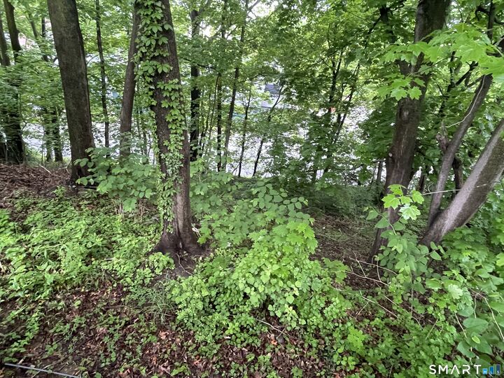 Property Photo:  71 Lenox Street  CT 06511 