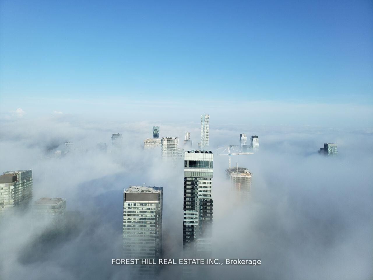 Property Photo: 388 Yonge Street 7401 ON M5B 0A4