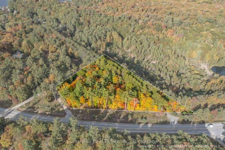 Property Photo:  3864 Highway 118 N/A W  ON P0B 1J0 