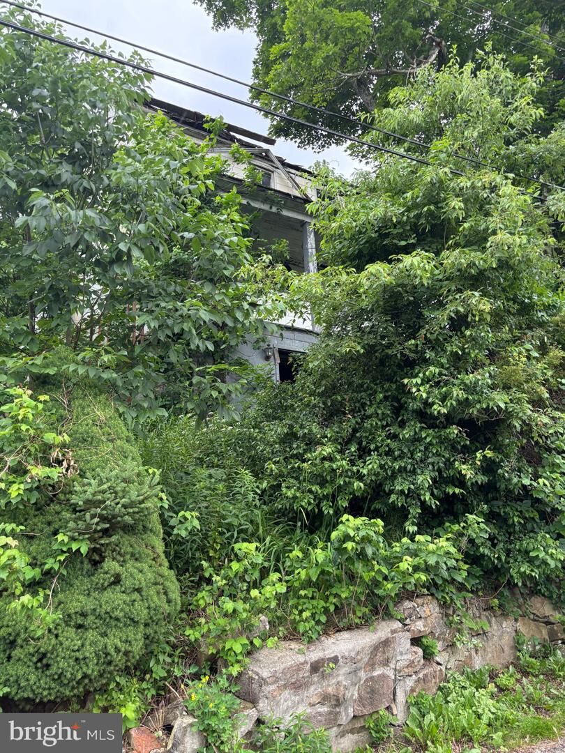 Property Photo:  13 Dudley Street  MD 21539 