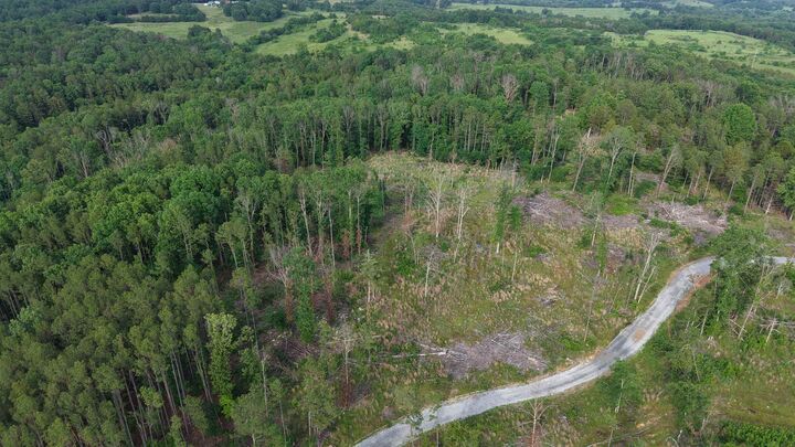 Property Photo:  30A Kerley Point Road  AR 72531 