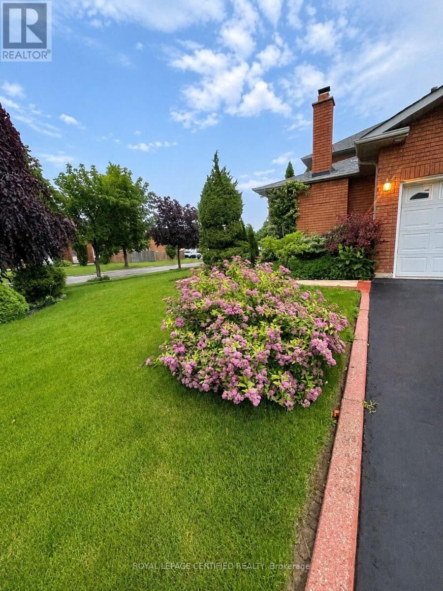 Property Photo:  961 Stargazer Drive Bsmt  ON L5V 1E9 