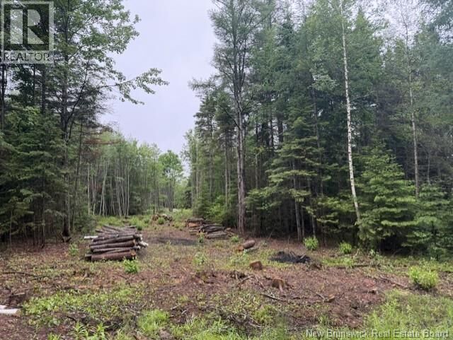 Property Photo:  Lot 1 W P Black Lane  NB E4Z 5X5 