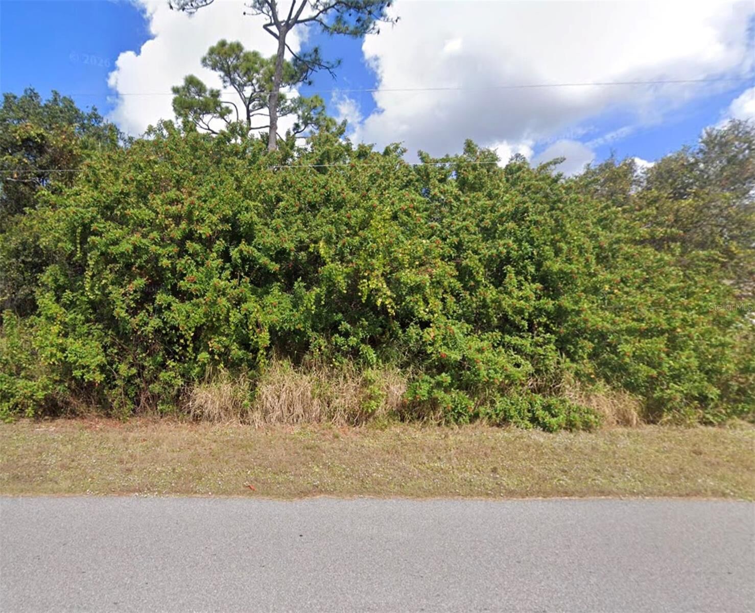 Property Photo:  Lot 19 E Hillsborough Blvd  FL 34288 