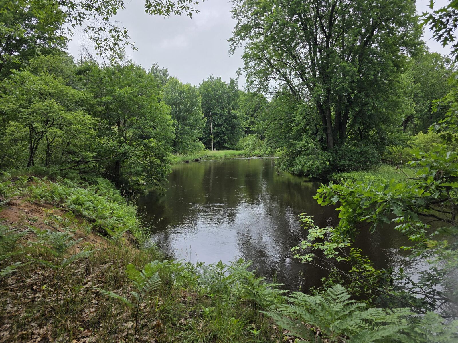 Property Photo:  Madison Road  MI 49421 