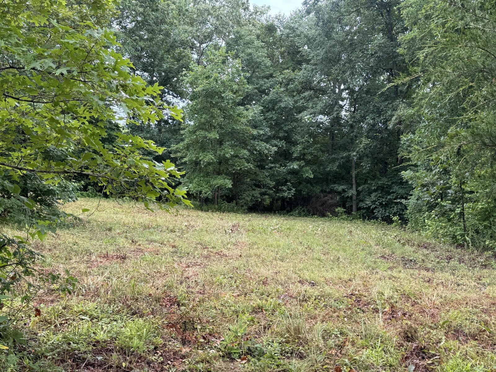 Property Photo:  0 Johnson Hollow Rd  TN 37175 