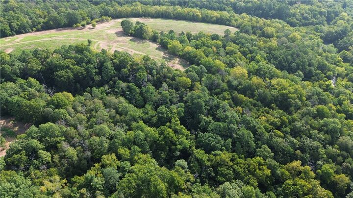 Property Photo: 1029 Bear Hollow Road MO 64856