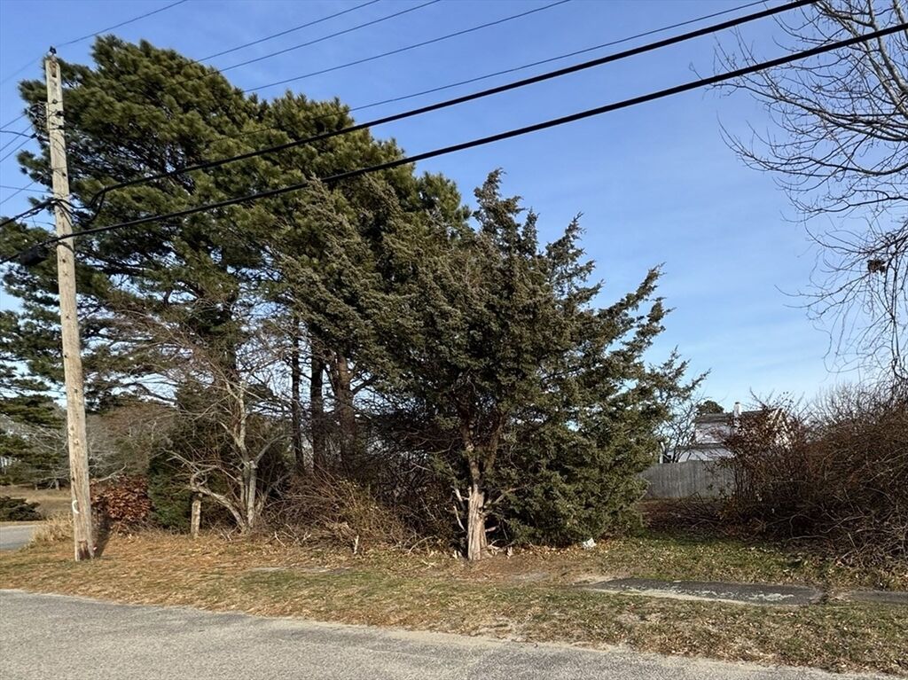 Property Photo:  48 North Blvd  MA 02571 