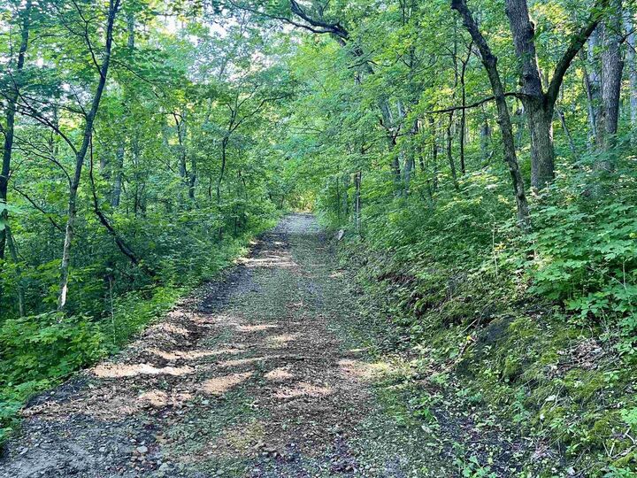 Property Photo:  Highway 131  WI 54631 