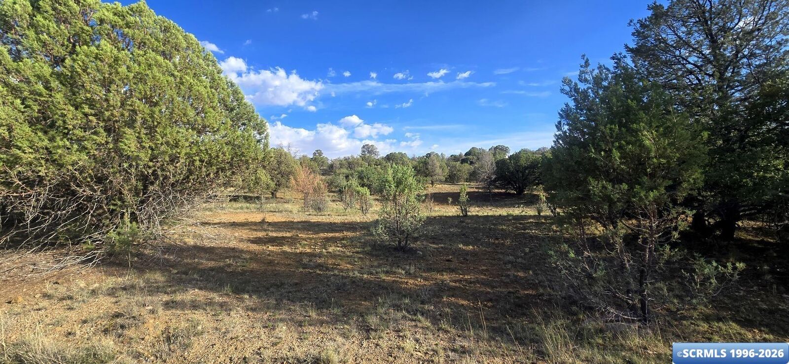 Property Photo: 4533 Arrowhead Road NM 88061-0000