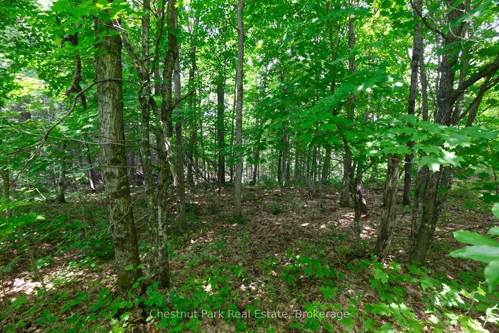 Property Photo:  Lot 78 141 Highway  ON P0C 1J0 