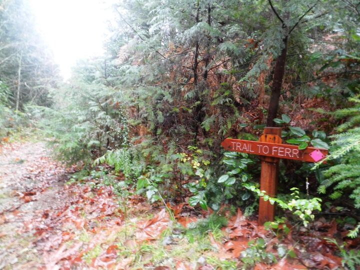 Property Photo: Block 1 Hauka Road BC V0N 1V6