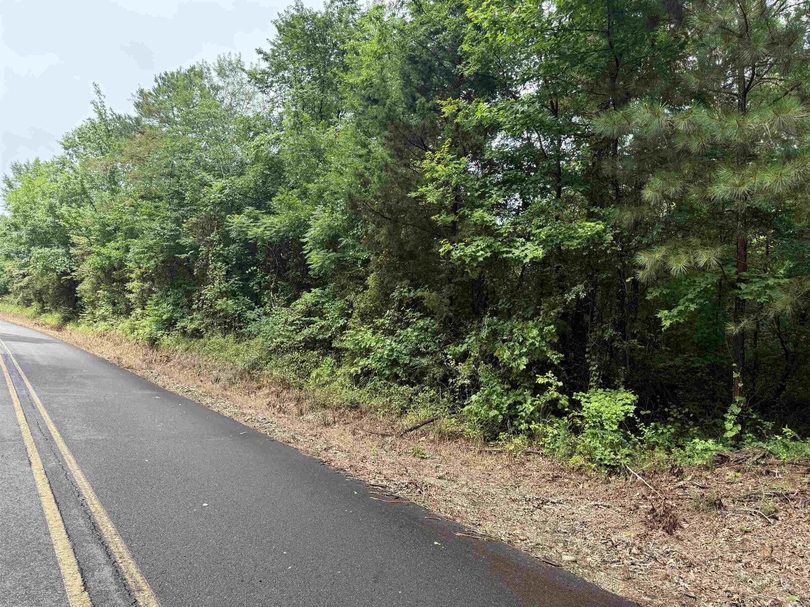 Property Photo: Tbd Cc Road AR 71921