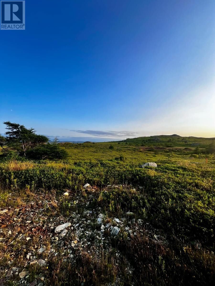 Property Photo:  36 Reid  NL A0A 4E0 