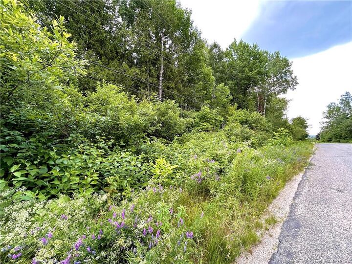Property Photo:  2 Hectares Kanes Lane  NB E9E 1H7 