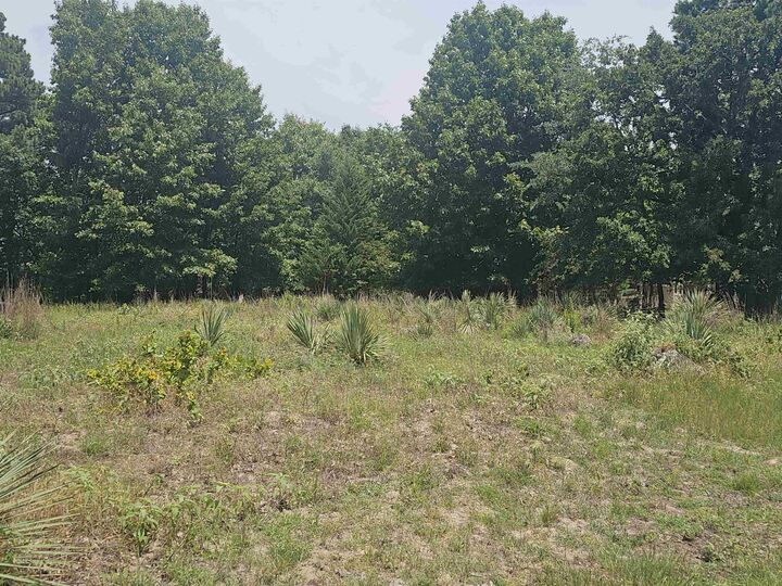 Property Photo:  Tbd Lot Pagosa  TX 75765 