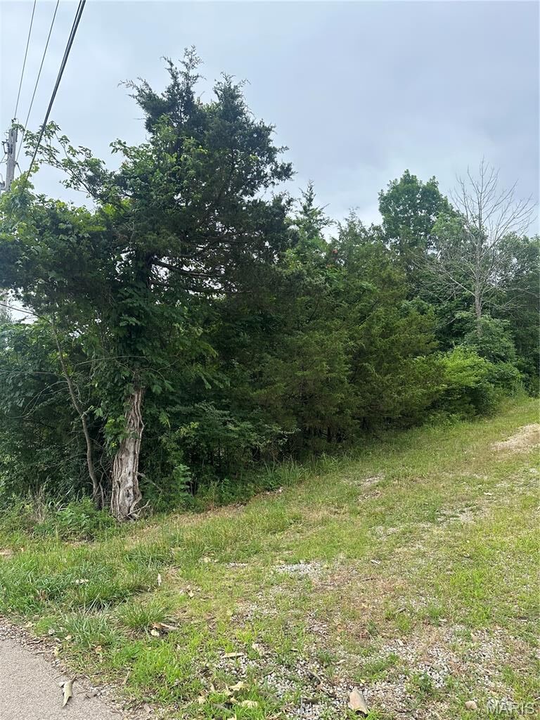 Property Photo: 00 Marseilles Drive MO 63628
