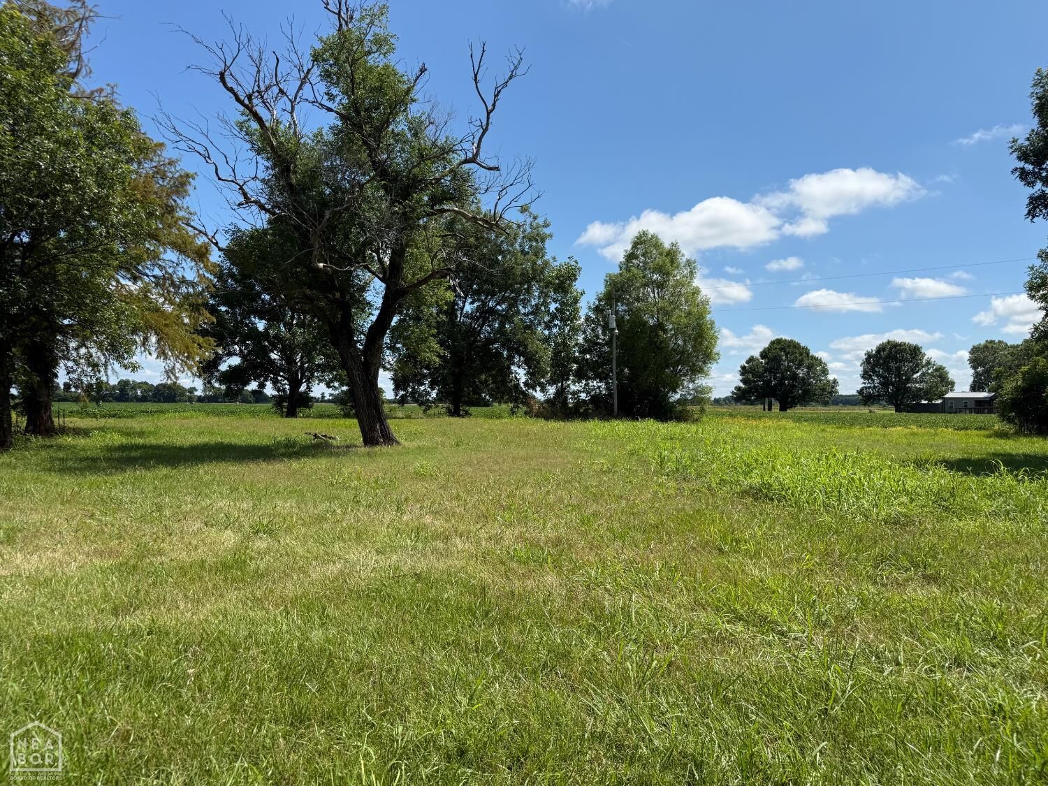 Property Photo:  31767 North Rd  AR 72365 