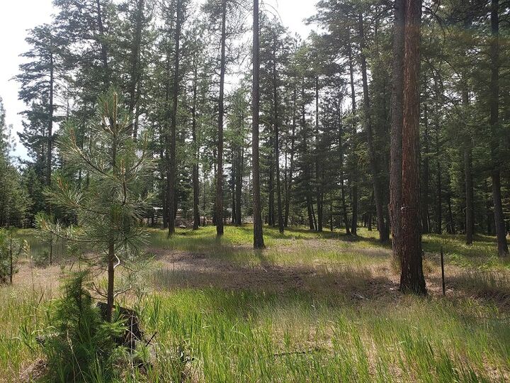 Property Photo:  19425 Pond Road  MT 59834 