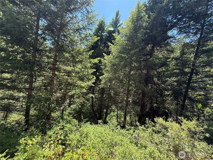 Property Photo:  0 Tbd  Toroda Creek Road  WA 98859 