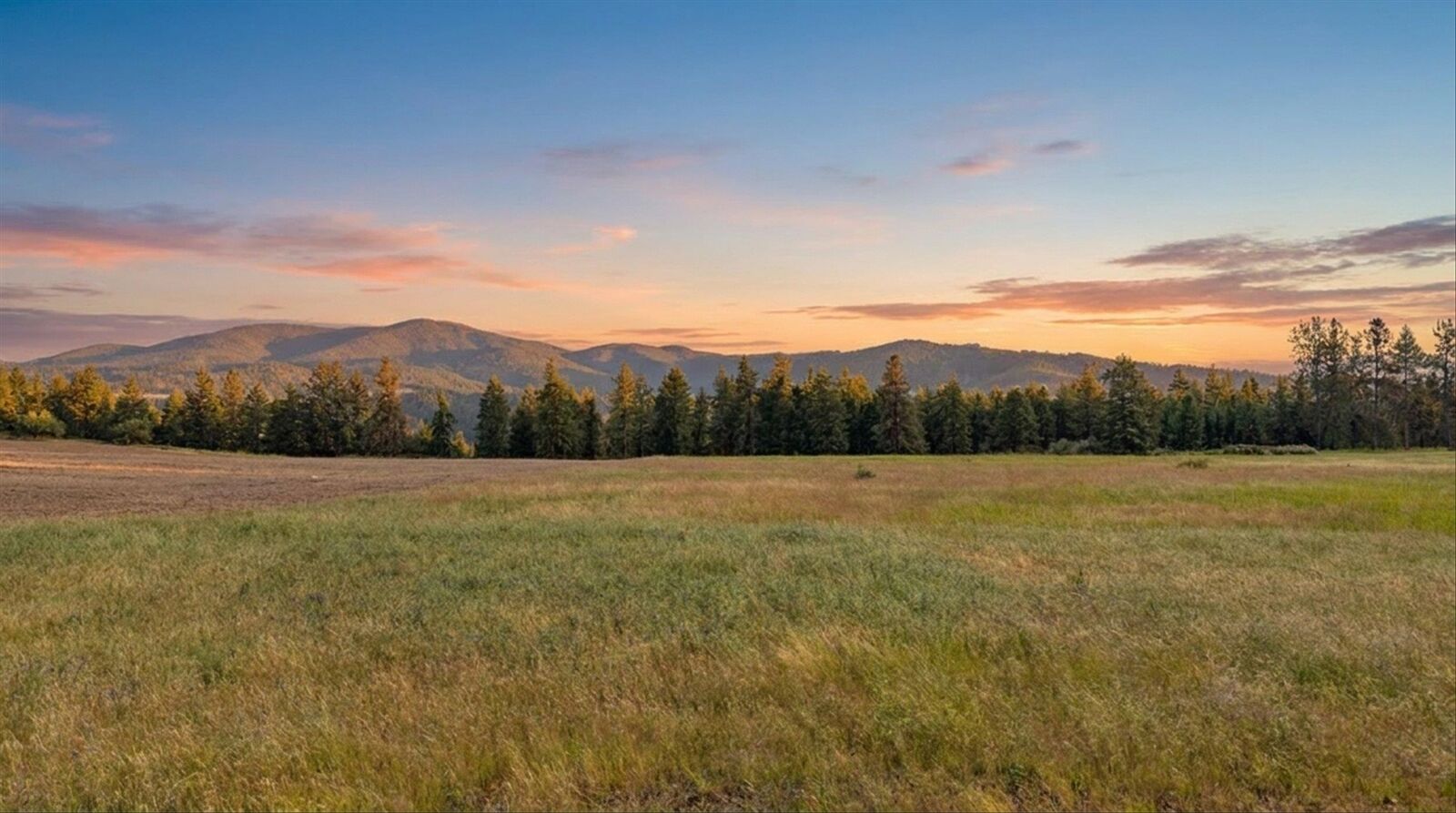Property Photo: Xx W Hattery Owens Rd WA 99006