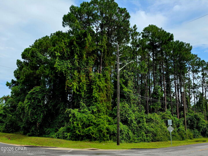 Property Photo:  233 Fairway Boulevard  FL 32407 