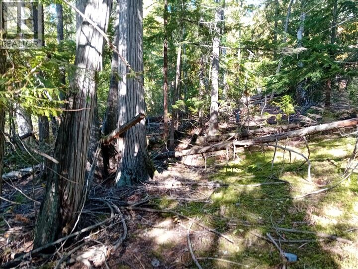 Property Photo:  Aspen Road  BC V0E 1M8 