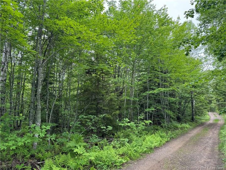 Property Photo:  Lot Mahoney Road  NB E4L 1P1 