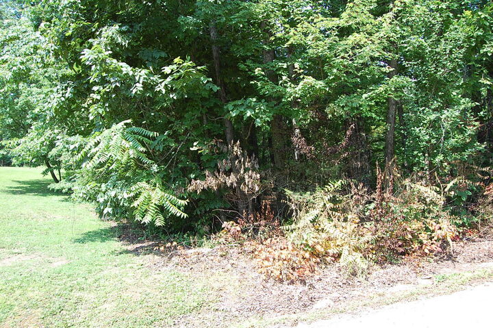 Property Photo:  65 Dogwood Lane  TN 37327 