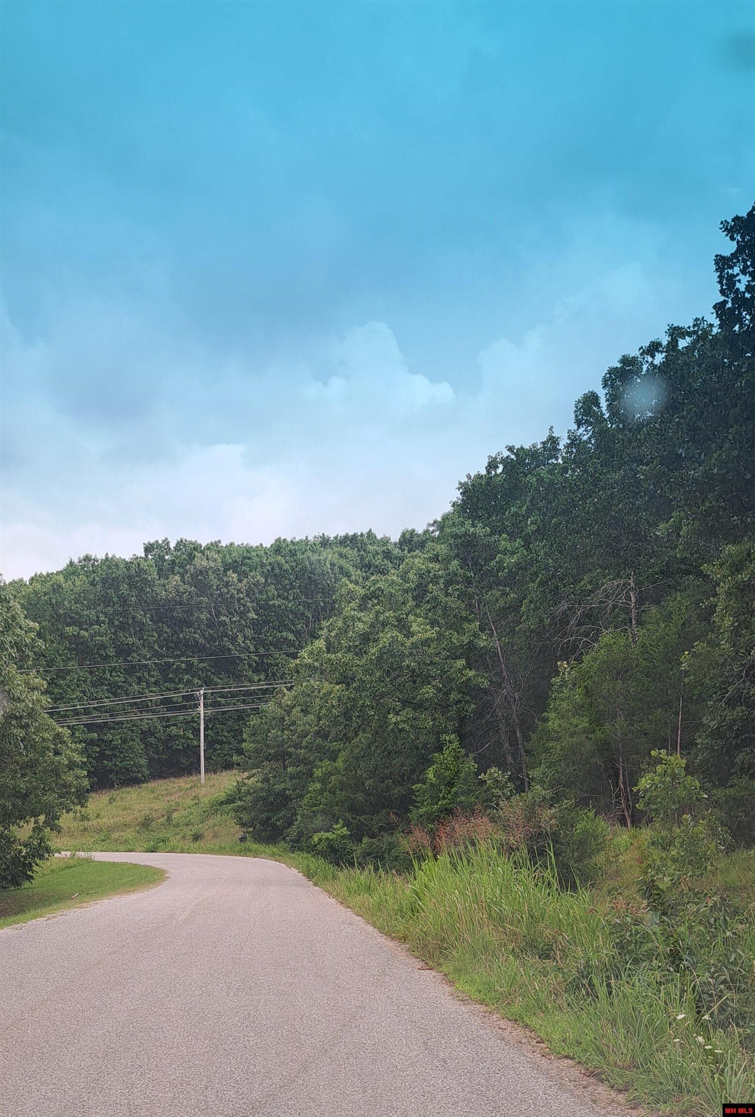 Property Photo:  Lot 4 Basswood Drive  AR 72653 