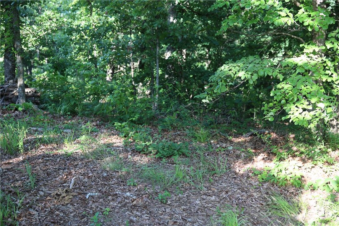 Property Photo:  Lot 21 Kirkcudbright Lane  AR 72715 