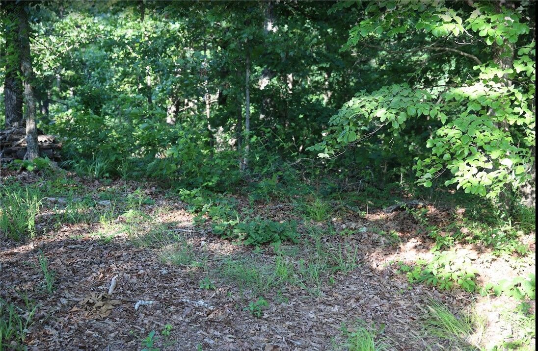 Property Photo:  Lot 12 Thaxted Drive  AR 72715 