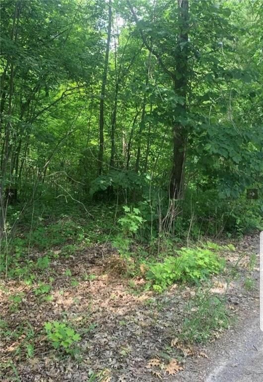 Photo de la propriété:  Lot 12 Suter Drive  ON K0M 1B0 
