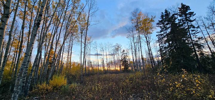 Property Photo:  SE-27-79-9-W6 92 Range Road  AB T0H 0G0 