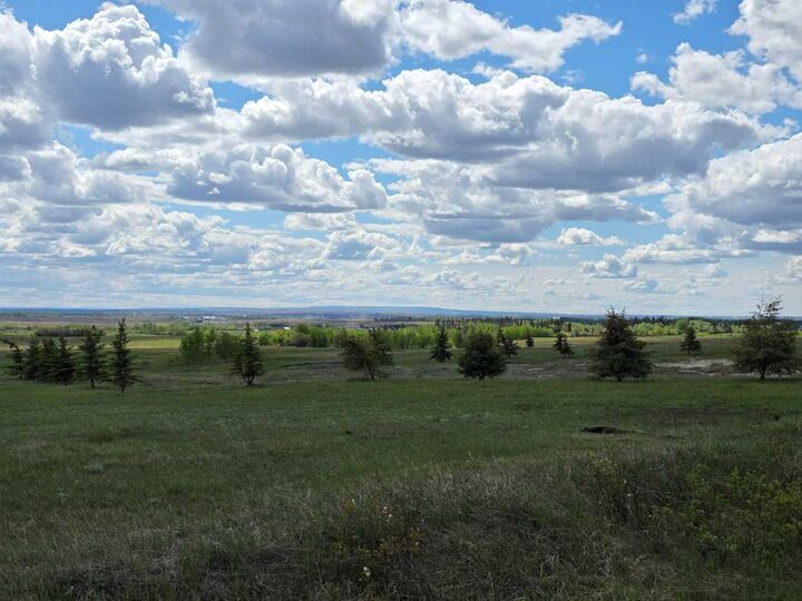 Se22-74-6-W6 62 Range Road — photo 1