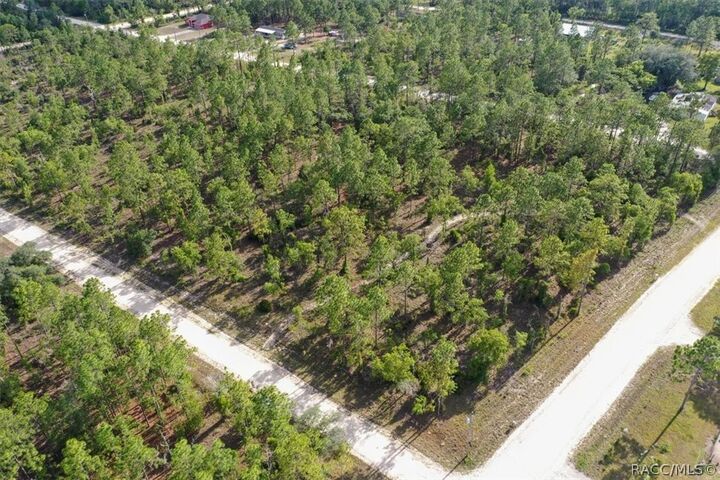 Property Photo:  0000 NE 132nd Lot 1 Terrace  FL 32696 