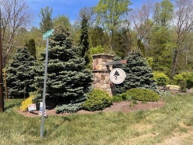 Property Photo:  Lot 12 Cove Creek  VA 24314 