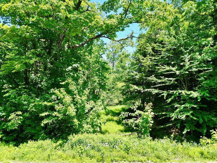 Property Photo:  0 Acton Island Road  ON P0B 1J0 