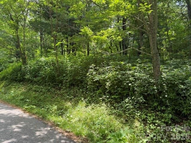 Property Photo:  Lot 33 Toi Trail 33  NC 28751 
