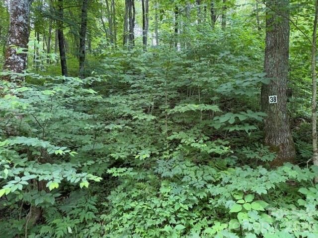 Property Photo:  Lot 38 Yanasa Trail 38  NC 28751 