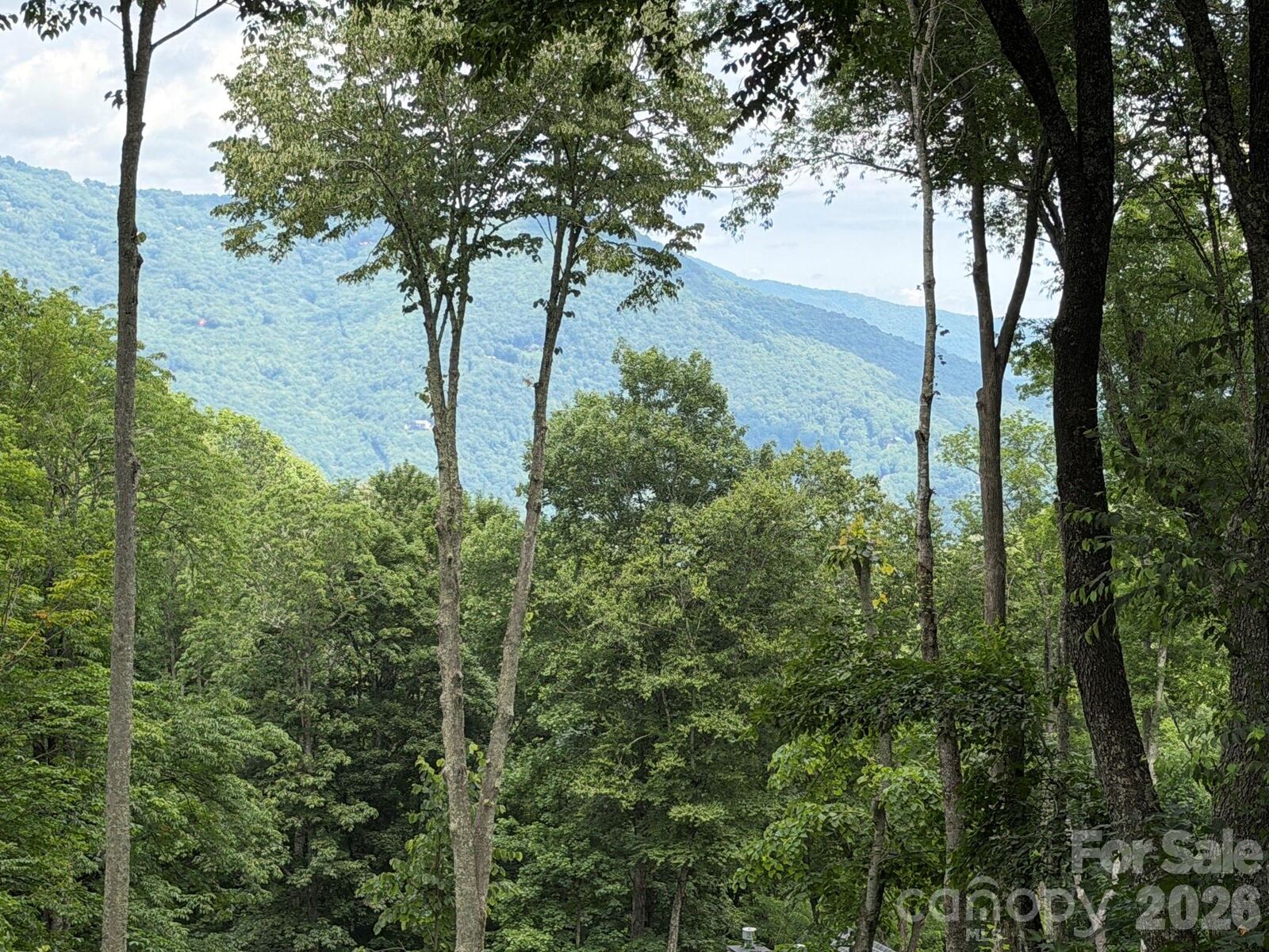 Property Photo:  Lot 5 Gadohi Trail 5  NC 28751 