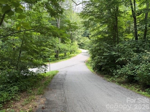 Property Photo: Lot 16 Iga Trail 16 NC 28751