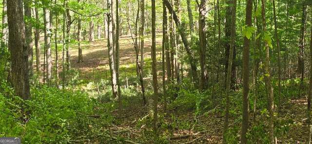Property Photo:  Lot 3-4 Scouts Overlook Lane  GA 30560 