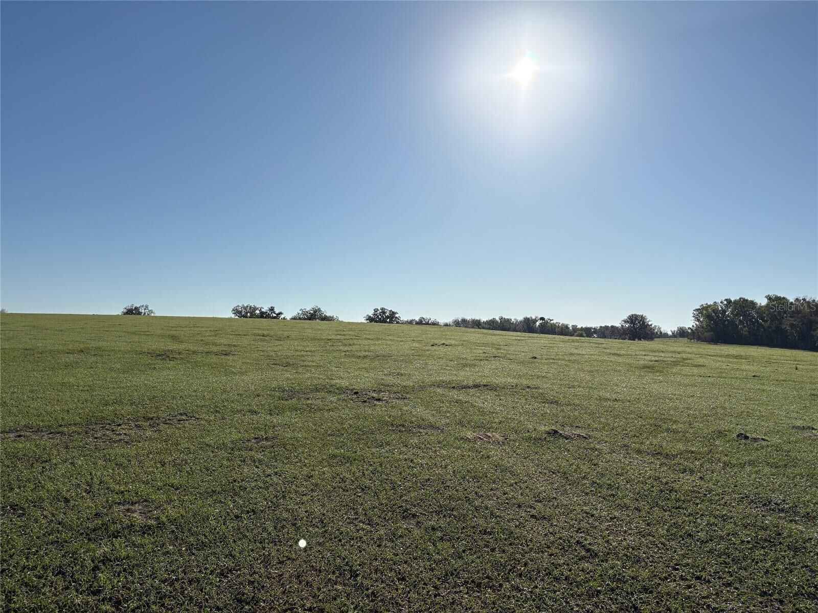 Property Photo:  0 Citrus Way (NE Corner Of Citrus Way And Parsons Rd)  FL 34601 