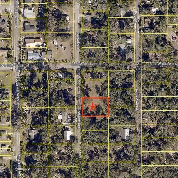 Property Photo:  411 Ivy Avenue  FL 32724 