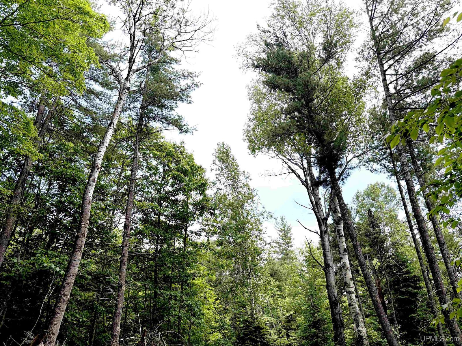 Property Photo:  Tbd Westwood Drive  MI 49849-0000 