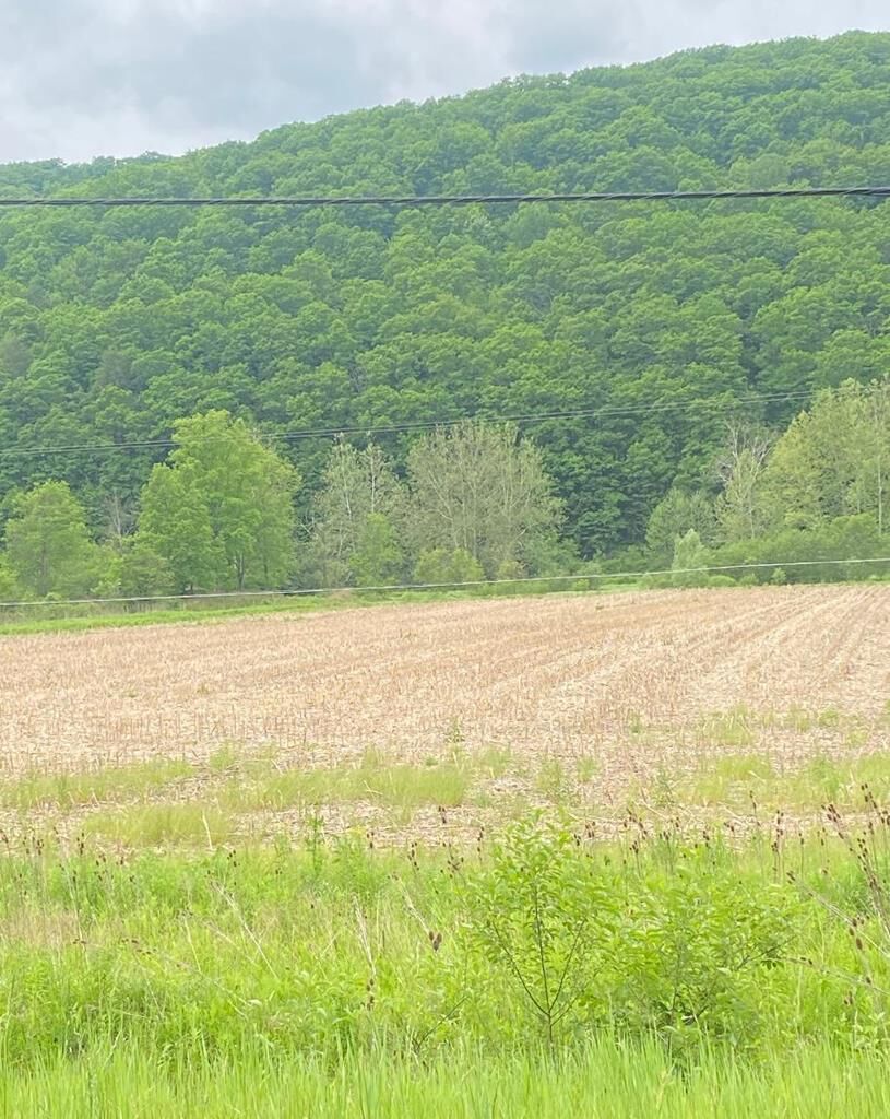Property Photo:  0 State Route 34  NY 14859 